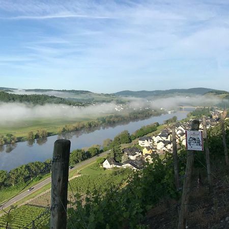 Wein- Und Gaestehaus Genetsch Lieser Bagian luar foto