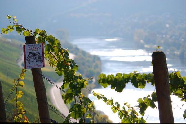 Wein- Und Gaestehaus Genetsch Lieser Bagian luar foto