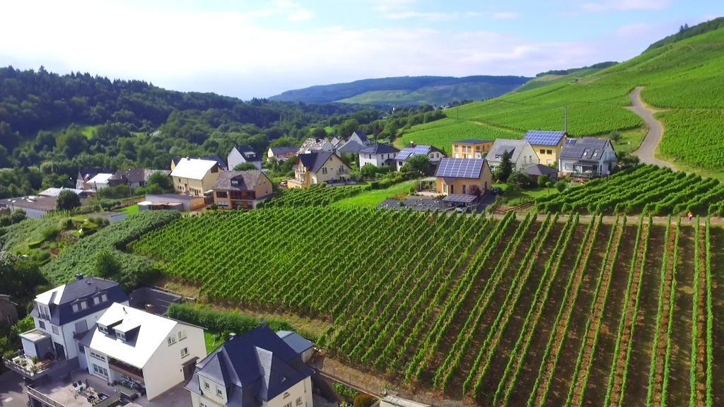Wein- Und Gaestehaus Genetsch Lieser Bagian luar foto