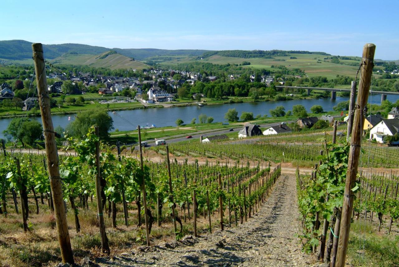 Wein- Und Gaestehaus Genetsch Lieser Bagian luar foto