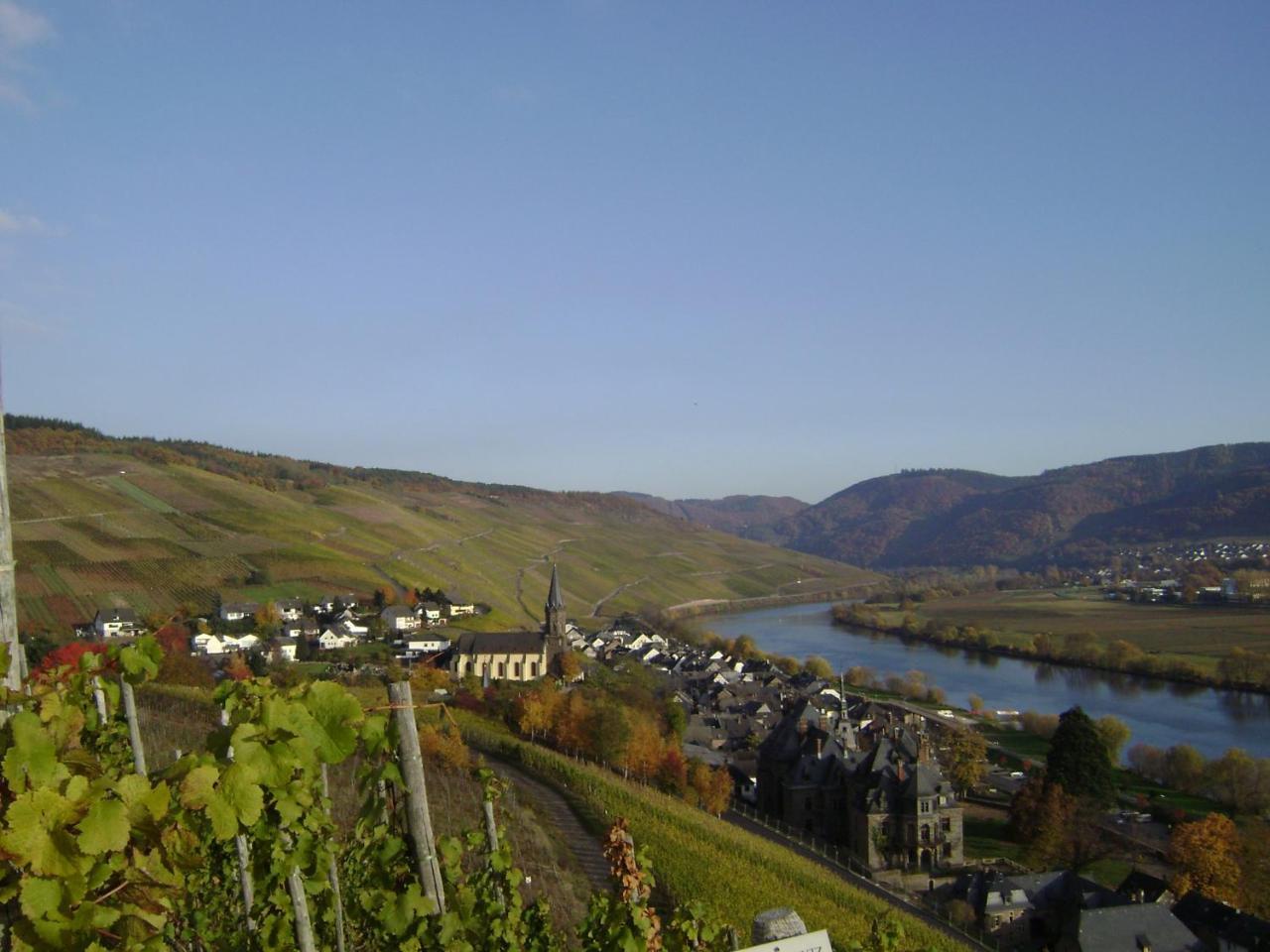 Wein- Und Gaestehaus Genetsch Lieser Bagian luar foto