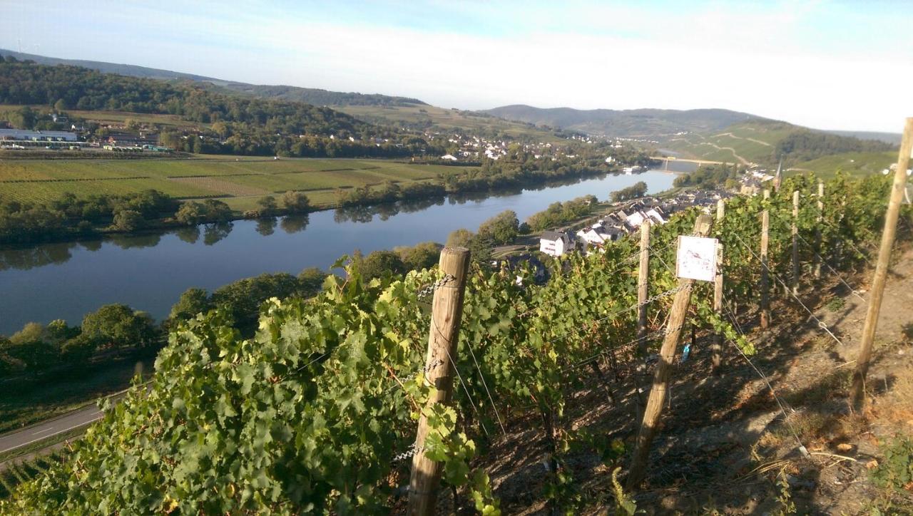 Wein- Und Gaestehaus Genetsch Lieser Bagian luar foto