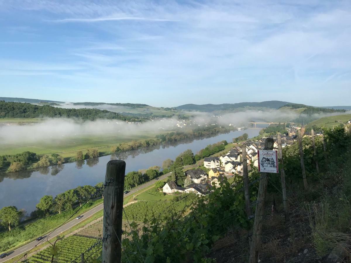 Wein- Und Gaestehaus Genetsch Lieser Bagian luar foto